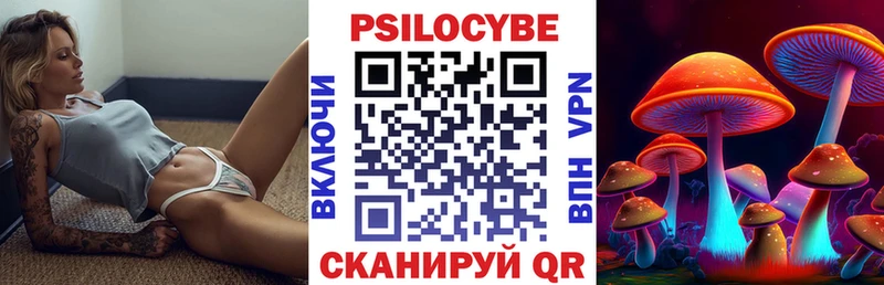 Псилоцибиновые грибы ЛСД  darknet телеграм  Каменск-Уральский 