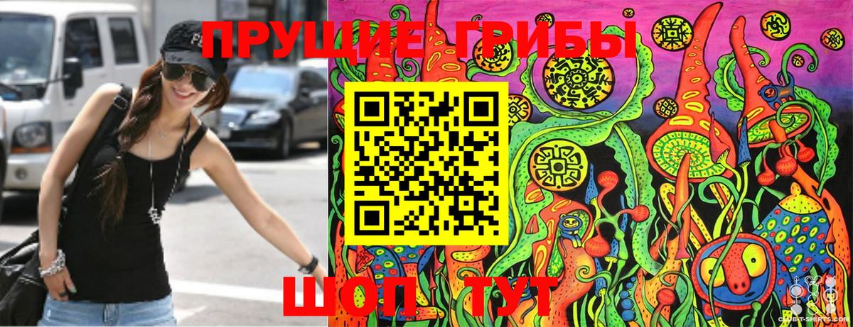 цены   Каменск-Уральский  Псилоцибиновые грибы прущие грибы 