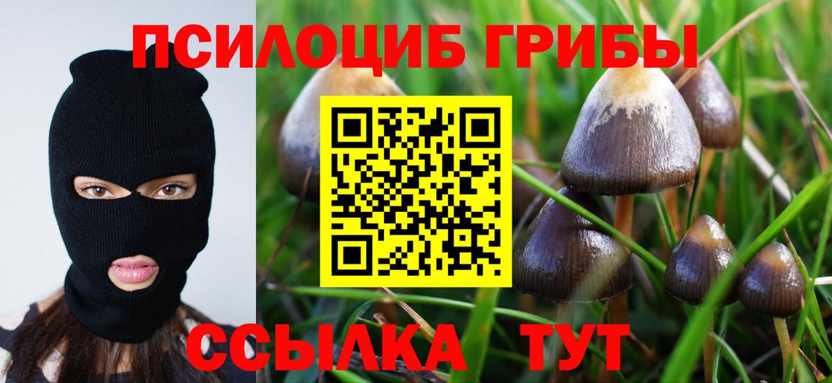 Галлюциногенные грибы MAGIC MUSHROOMS Каменск-Уральский