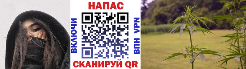 блэк спрут ссылки  Каменск-Уральский  Марихуана сатива 